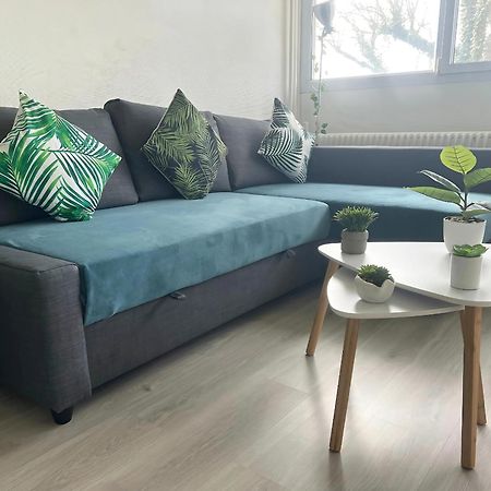 Appartement Le Classik' Parking Prive Mâcon Dış mekan fotoğraf